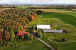 Picture of Stunning Estate for Rent – Just 10 Minutes from Waterloo