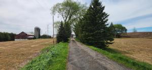 Picture of West Grey - Beautiful Brick Country Home