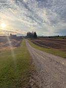 Picture of Markdale - Beautiful Updated Farmhouse for Rent