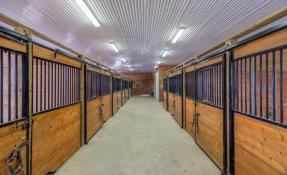 Picture of Exceptional Equestrian Facility & Residential Rental – Melancthon