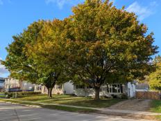 Picture of Wingham - Charming 3-Bedroom Bungalow with Flex Room