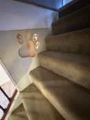 Picture of West Grey - Spacious Main House with Separate One-Bedroom Unit