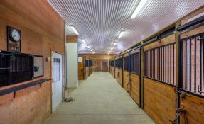 Picture of Exceptional Equestrian Facility & Residential Rental – Melancthon