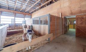 Picture of Exceptional Equestrian Facility & Residential Rental – Melancthon