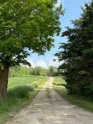 Picture of Charming 4 Bedroom Century Home for Rent