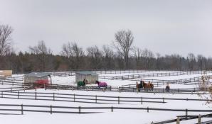 Picture of Exceptional Equestrian Facility & Residential Rental – Melancthon