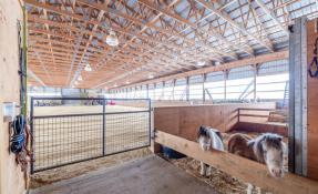 Picture of Exceptional Equestrian Facility & Residential Rental – Melancthon