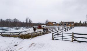 Exceptional Equestrian Facility & Residential Rental – Melancthon