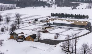 Picture of Exceptional Equestrian Facility & Residential Rental – Melancthon
