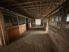 Picture of Grey Highlands - Horse Barn and Riding Arena