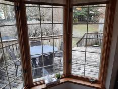 Picture of Palmerston - Beautiful Family Home