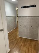 Picture of Updated Basement Apartment - Kitchener PENDING