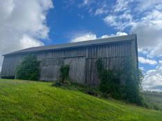 Picture of Durham - Home For Rent