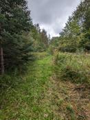 Picture of Priceville - Lovely Bungalow for Rent