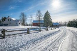 Serene Countryside Retreat – 2 Bedroom, 1 Bathroom Home