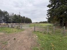 Picture of Grey Highlands - Horse Barn and Riding Arena