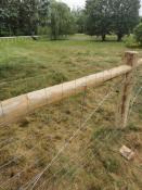 Picture of Coverall for Storage, Portion of Barn and Small Paddock Area in Meaford