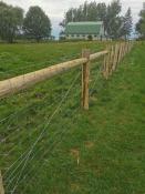 Picture of Coverall for Storage, Portion of Barn and Small Paddock Area in Meaford