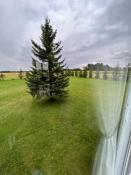 Picture of Dundalk - 3 bedroom, 1 bath home